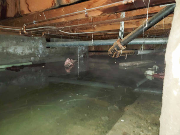 Carpet water damage restoration in Siesta Shores, TX